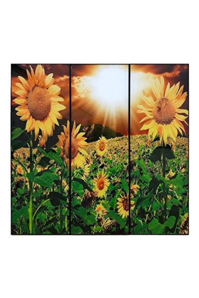 OEM Tablou sticla - 3 piese 2,90x270cm