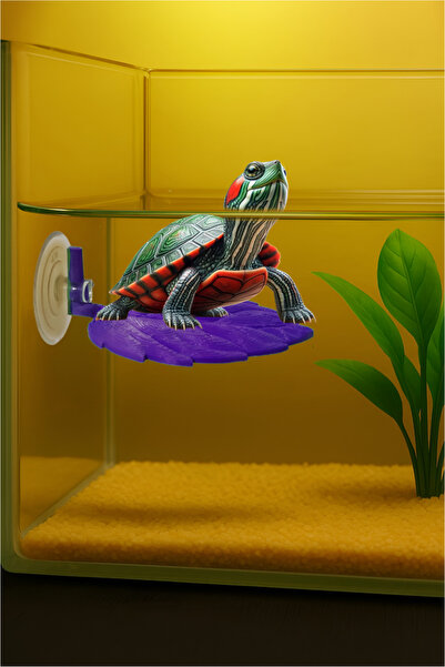 MDİZMİR Ayarlanabilir Kaplumbaga Dinlenme Alanı ( Mor ) Su Seviyesinde Kullanılır ᵔᴗᵔ