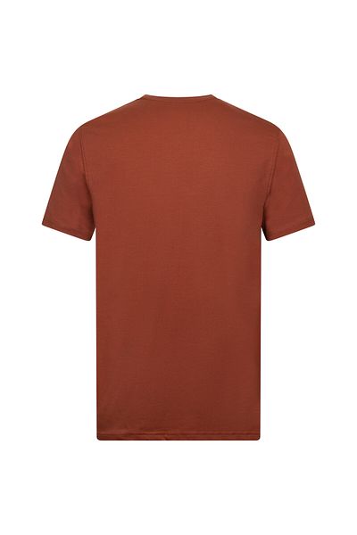 Hatemoğlu Brown Regular Fit Crew Neck Cotton Basic T-Shirt