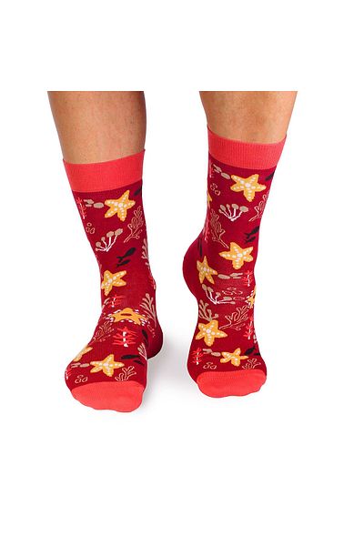 Pirin Hill Fine Cotton Sealife Socks Starfish Bordeaux