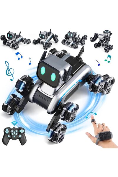 Beauenty Remote Control Robot Dog Toys, Rechargeable Stunt RC Car with Music, Spray, Climbing, Multi