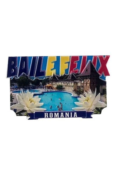 OEM Magnet din rasina cu Baile Felix, 8x5 cm multicolor
