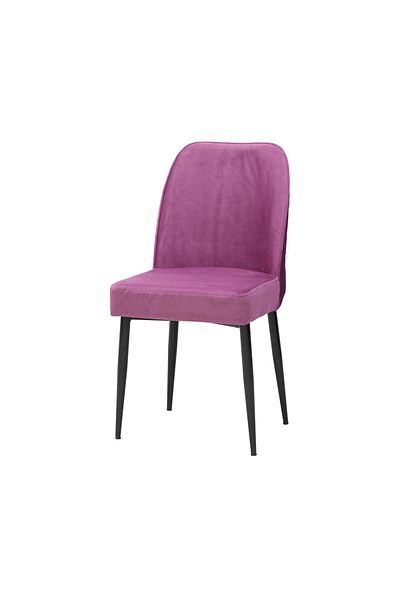 ARTA DOOR Set of 2 Baron Chairs