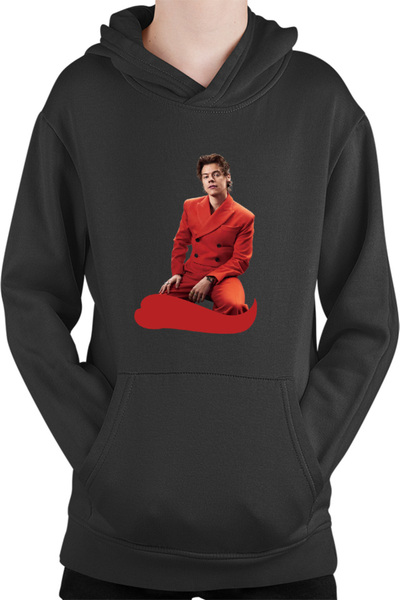 OEM Φούτερ με κουκούλα Harry Styles Άγγλος τραγουδιστής, στιχουργός, ηθοποιός...