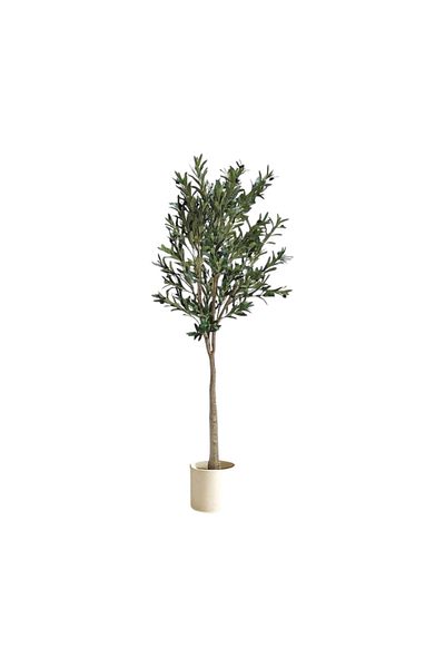 Leafora Olive Tree – 210 cm