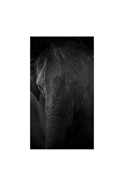 OEM Tablou Canvas, "Elefantul in valul umbrelor misterioase", 70 x 100cm