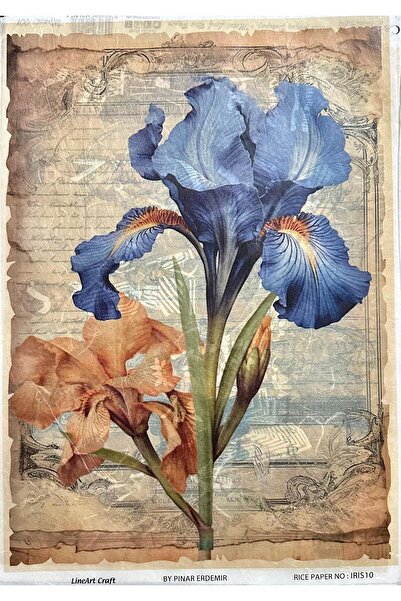 LİNEART PİRİNÇ DEKOPAJ KAĞIDI IRIS10