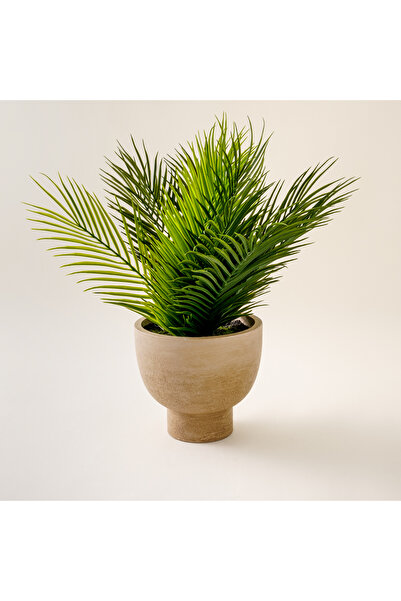 homez Artificial Plant In Wood Pot 61*61*48Cm