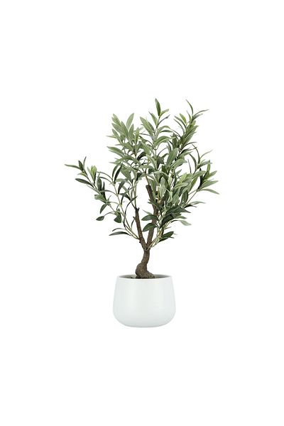Generic Aritificial olive plant in a Ceramic pot 35.56*35.56*58.42 cm