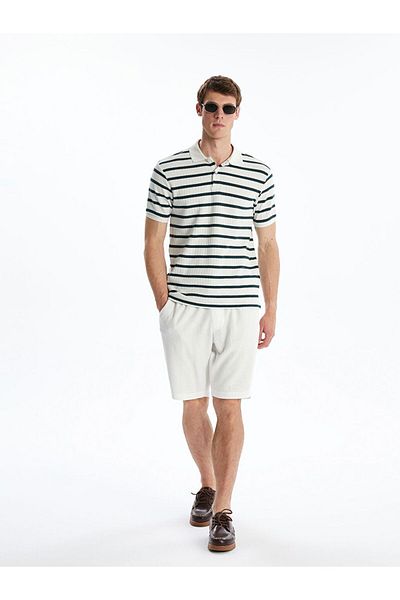 LC Waikiki Lcw Vision Polo Neck Striped Men's T-Shirt