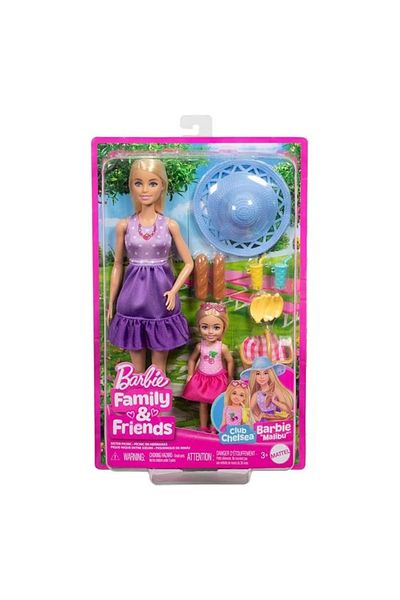 divendi-ro Păpușa Barbie și Chelsea la picnic, cu accesorii incluse, vârsta 3+ ani, 20x6x33cm, multicoloră