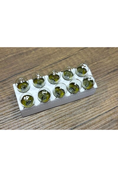 TAS 67 R5 5W 12v Stop Ampul 10 Adet Fiyatıdır