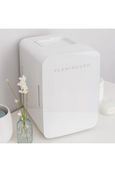Flamingueo ELI- MINI BUZDOLABI TASINABILIR RETRO BEYAZ 10 L