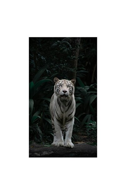 OEM Tablou Canvas, Tigrul alb in desisul padurii