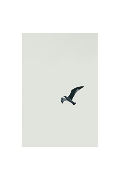 OEM Tablou Canvas, "Pescarus singuratic in zbor senin", 70 x 100cm