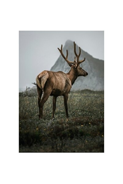 OEM Tablou Canvas, "Cerbul singuratic in ceata deasa", 50 x 90cm