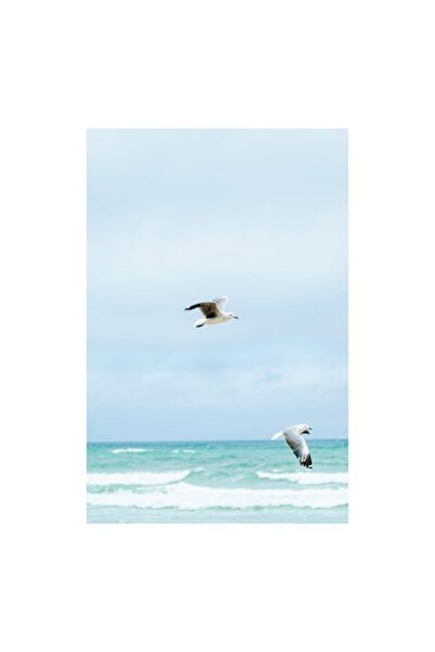 OEM Tablou Canvas, "Pescarusii zboara deasupra marii albastre", 100 x 150cm