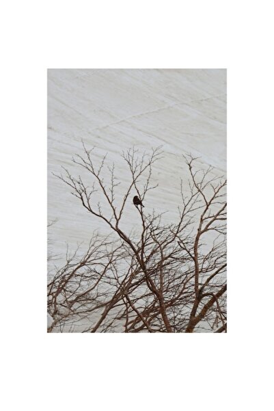 OEM Tablou Canvas, "Pasarea singuratica in iarna alba", 70 x 100cm