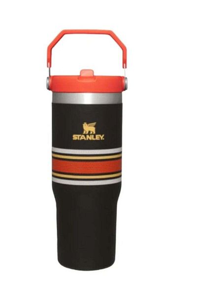Stanley IceFlow Stainless Steel Tumbler with Straw - Vacuum Insulated Water Bottle for Home, Office,