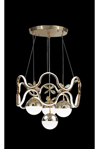 Erdem DNZ BALIK GOLD_(ERD.1031)