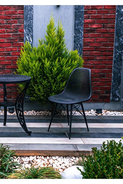 NEWBELLA Safir Sandalye Siyah 2'li Set – Bahçe, Mutfak, Kafe, Balkon