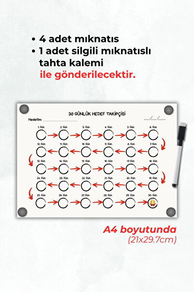 Metranya 30 Günlük Hedef Takipçisi Sınav Ders Soru Spor Diyet Planlayıcı Manifest Buzdolabı Üstü Magnet