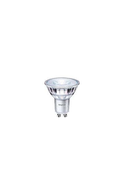 Braytron Bec LED BEC 4,8W MR16 SMD PLS 350LM 4000K GU10 PREMIUM