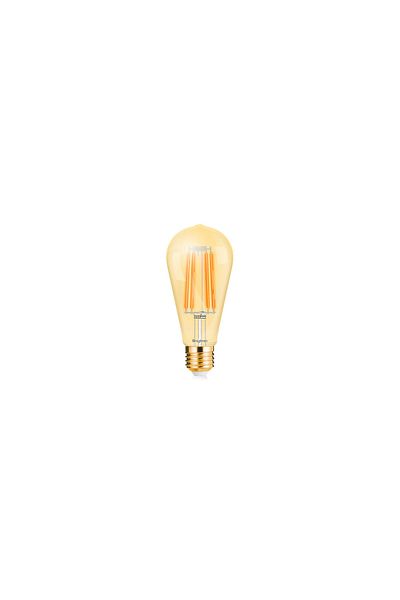 Braytron Decorative LED Filament Bulb 6W 510lm ST64 2200K E27
