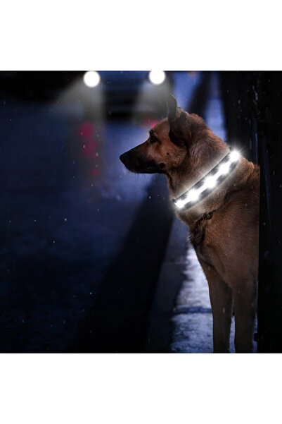 Gomyyard dog collar, LED, nylon, black/white, size S