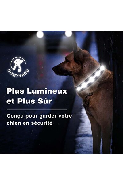 Gomyyard dog collar, LED, nylon, black/white, size XS