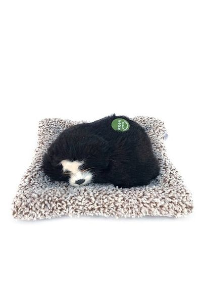 OEM Plush Toy Dog Sleeping on Pillow, Black, 18x15 cm