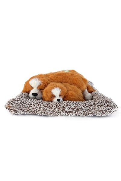 OEM Plus Toy with Puppies 3.27x22cm