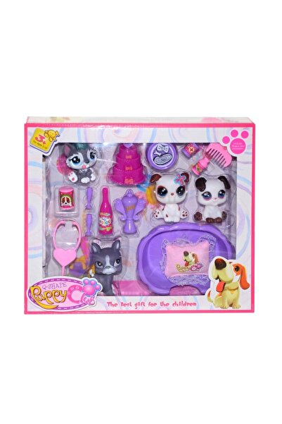 CAN OYUNCAK سيلان آدم نيسى وورلد CL2105ABC مجموعة الحيوانات الأليفة في الصندوق