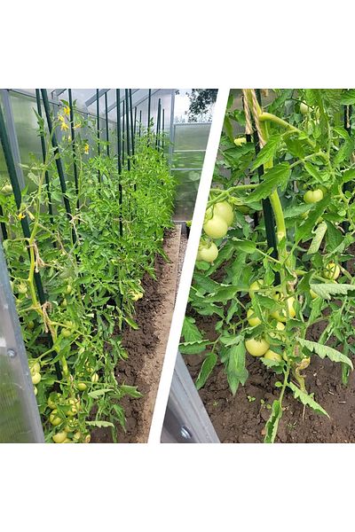 PROCART Climbing plant trellis, type A, height 180 cm, rods 16 mm, mesh 1.8x3.2 m