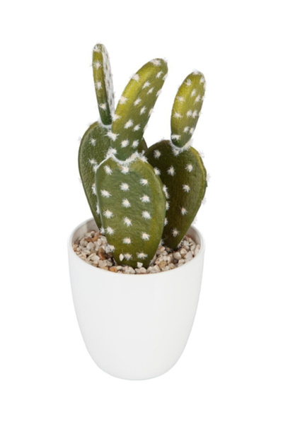 Atmosphera Plastic Resin Succulent and Cactus Artificial Plant