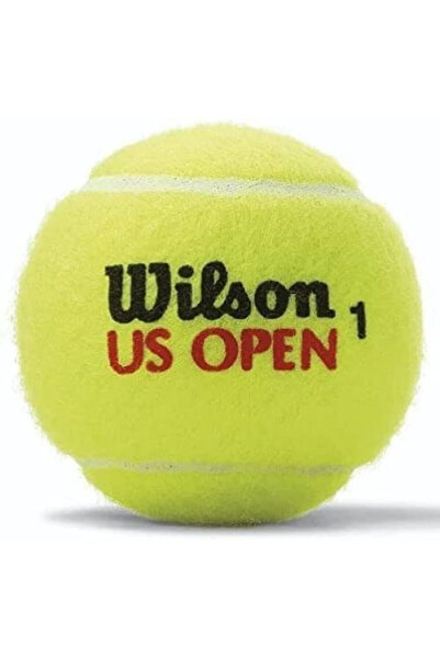 Wilson كرة تنس من اللباد المتين عالي التحمل من بطولة الولايات المتحدة المفتوحة، مكونة من 4 قطع