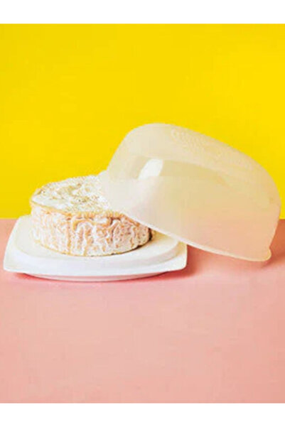 Tupperware BPA-Free Dishwasher Safe Plastic Cheesmart Server Medium