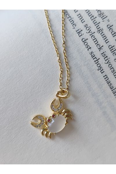 İLKYAZ Accessories Crab Zircon Stone Minimal Steel Necklace