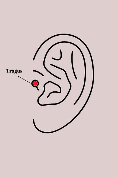 CONAHOME 316L Steel Gold Color Black Zircon Stone Detail Spider Web Model Tragus Piercing - Tj-Pr1292