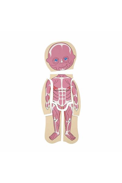 Sunman 2917 Sun-Board Puzzle Human Body