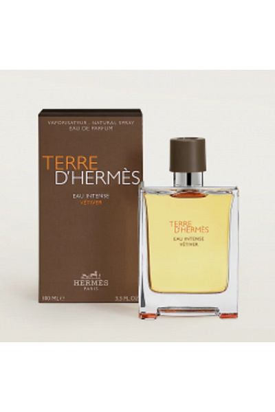 Hermes Terre d'Hermes Eau Intense Men's Perfume 100 ml