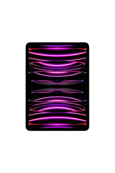 Apple 2022 11-inch iPad Pro 4th Generation Wi-Fi 1TB - Space Grey