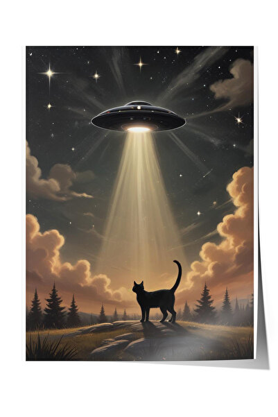 Zestia Poster fără ramă, Pisică și OZN, Poster cu tematică de răpire prin fas...