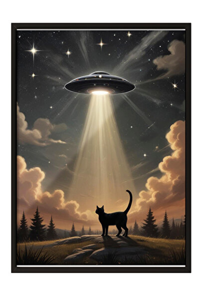 Zestia Tablou înrămat negru, Pisică și OZN, Tematică de răpire prin fascicul ...