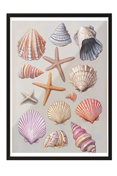 Zestia Tablou în ramă neagră, scoici, fundal roz, ilustrație din colecție 1 P...