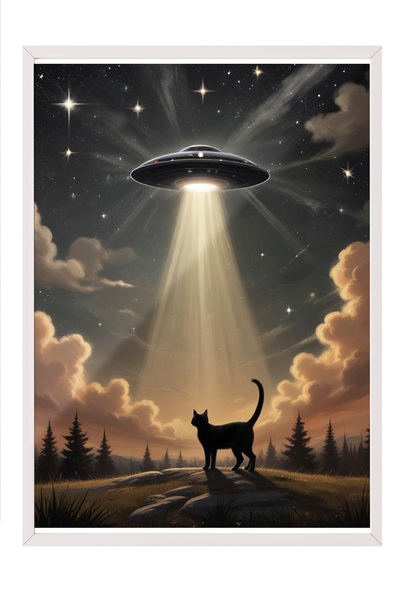 Zestia Tablou înrămat alb, Pisică și OZN, Tematică: Învăluire cu fascicul de ...