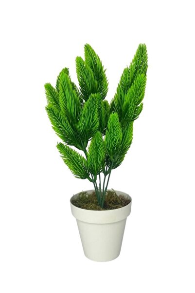 Nettenevime Yapay Çiçek Krem Saksıda Yeşil Kozalaklı Çam Demeti