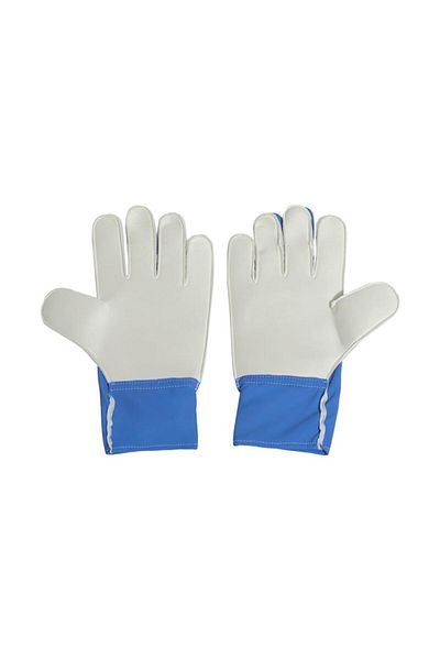 adidas Blue Goalkeeper Gloves Copa Gl Clb Jh3790