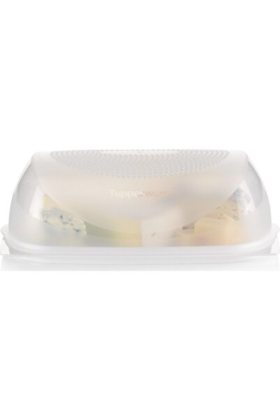 Tupperware Big Cheese World Storage Container