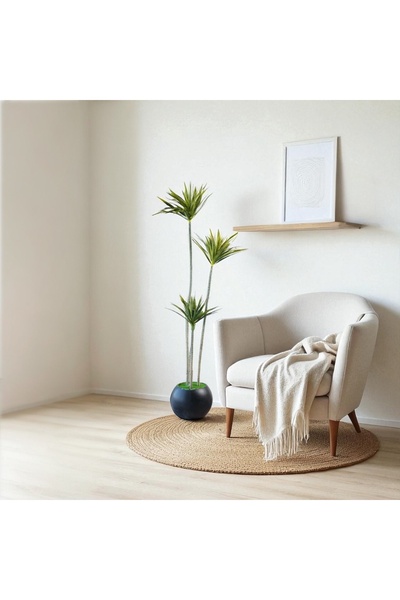 Leafora شجرة نخيل الساغو